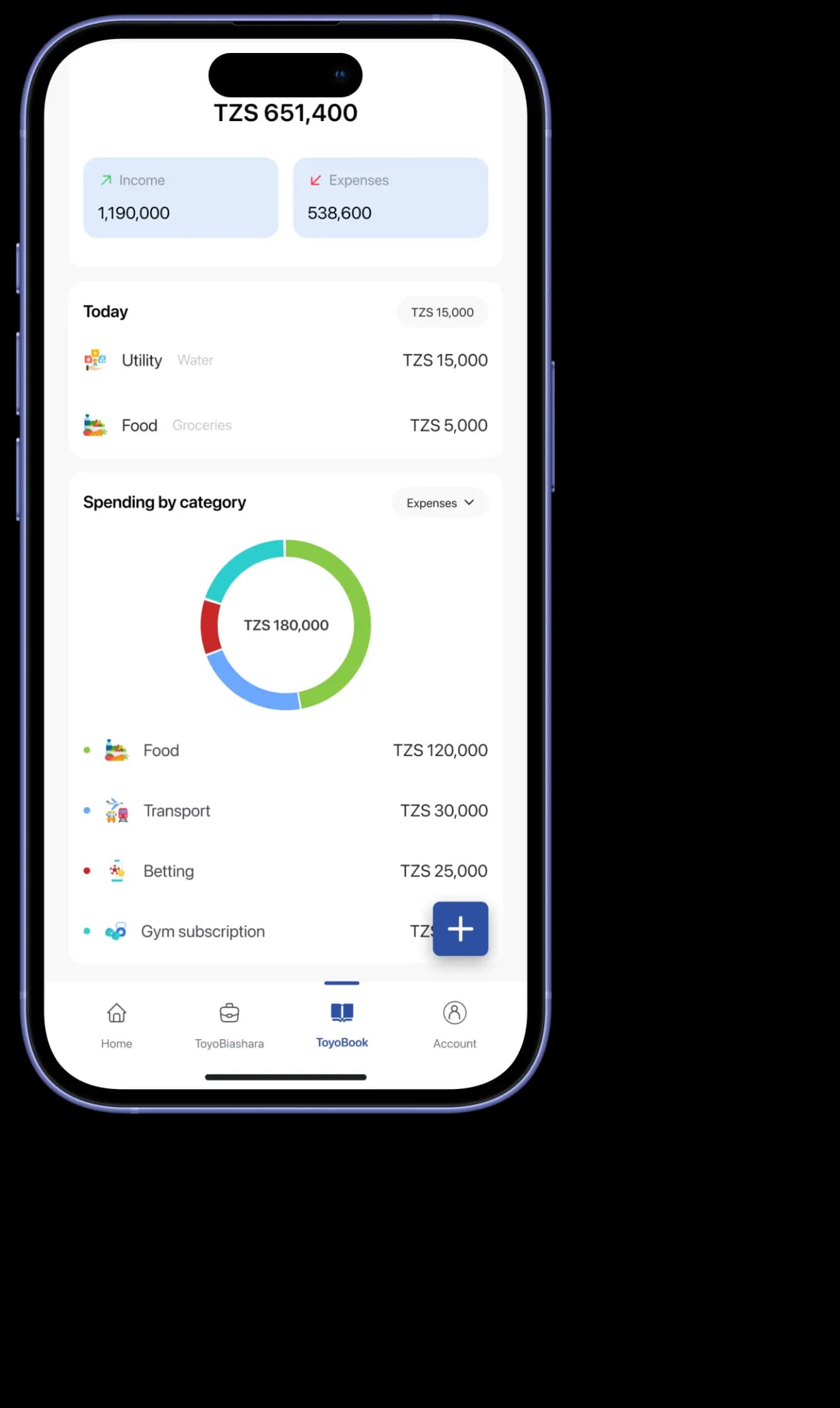 ToyoBook showing spending by category